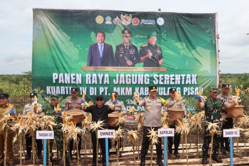 Kapolda Kalteng dan Pangdam XXII Panen Raya Jagung di Pulang Pisau, Perkuat Ketahanan Pangan Nasional