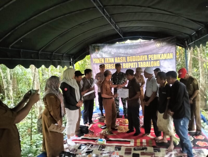 Danramil Banua Lawas–Pugaan Hadiri Panen Ikan dan Pelepasan Bibit Jelawat di Desa Pugaan