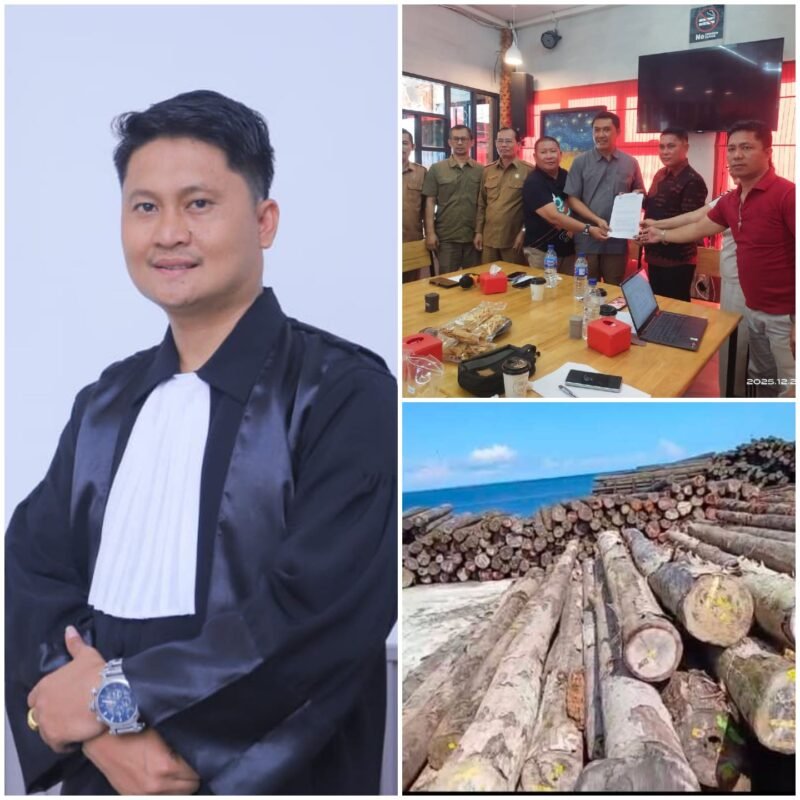 Foto: Panitia Pemekaran Kepulauan Batu Minta Penutupan Permanen Dua Perusahaan di Nias Selatan