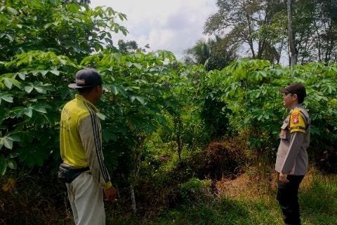 Polsek Maliku Wujudkan Pelayanan Prima, Bukti Nyata Polri Untuk Masyarakat