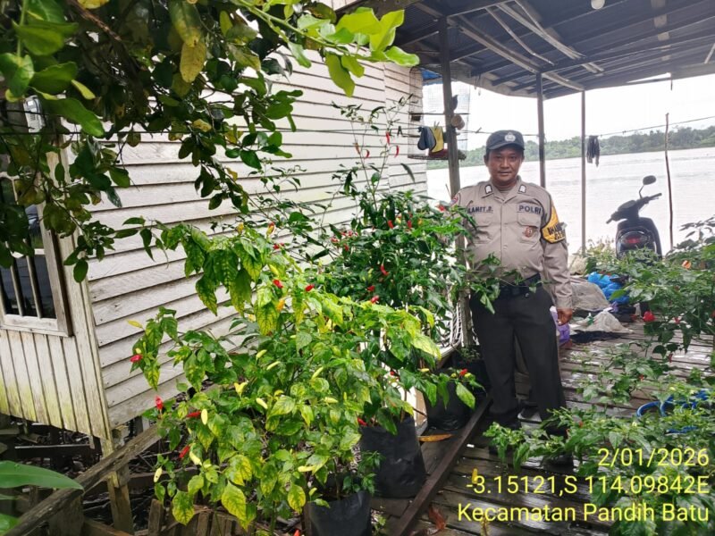 Bhabinkamtibmas Desa Dandang Sambangi Masyarakat Desa Binaan sekaligus Sisipkan Pesan Kamtibmas terkait pemanpaatan perkarangan Untuk Menanam Tanaman Pangan Bergizi