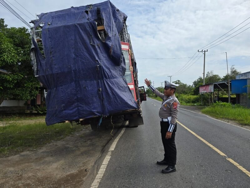Cegah Kecelakaan di Jalan Raya, Satlantas Polres Pulang Pisau Tegur Sopir Truk Overload