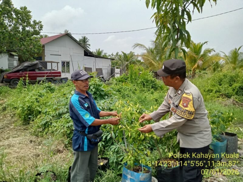Polri Jadi Pendamping Petani, Optimalkan Ketahanan Pangan di Kahayan Kuala