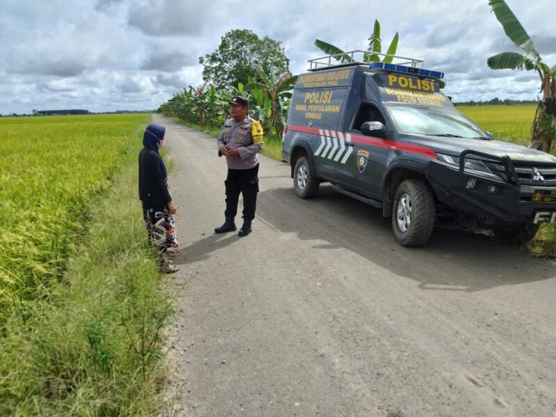 Bhabinkamtibmas Food Estate Melaksanakan Cek Sawah untuk Pengawasan Keamanan dan Ketahanan Pangan