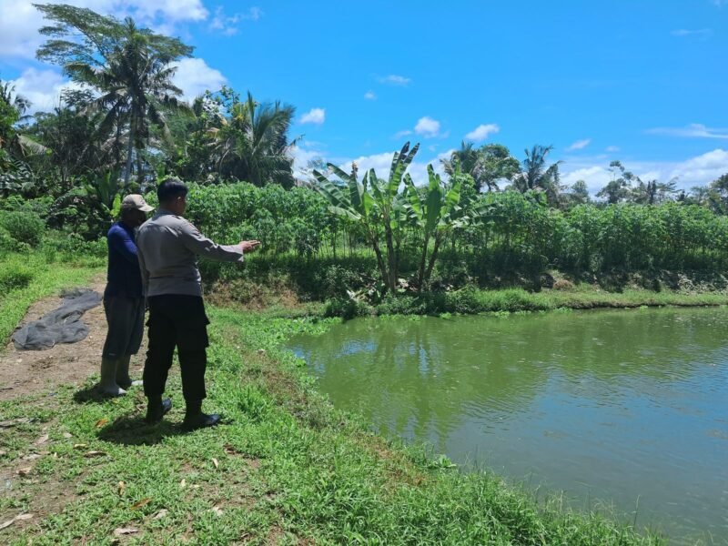 SatBinmas Polres Pulang Pisau Sambangi Pemilik Kolam Ikan Patin di Desa Mentaren