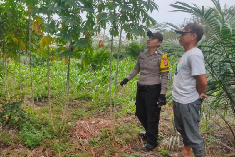 Jaga Stabilitas Wilayah, Polsek Maliku Gencarkan Edukasi Kamtibmas Secara Humanis