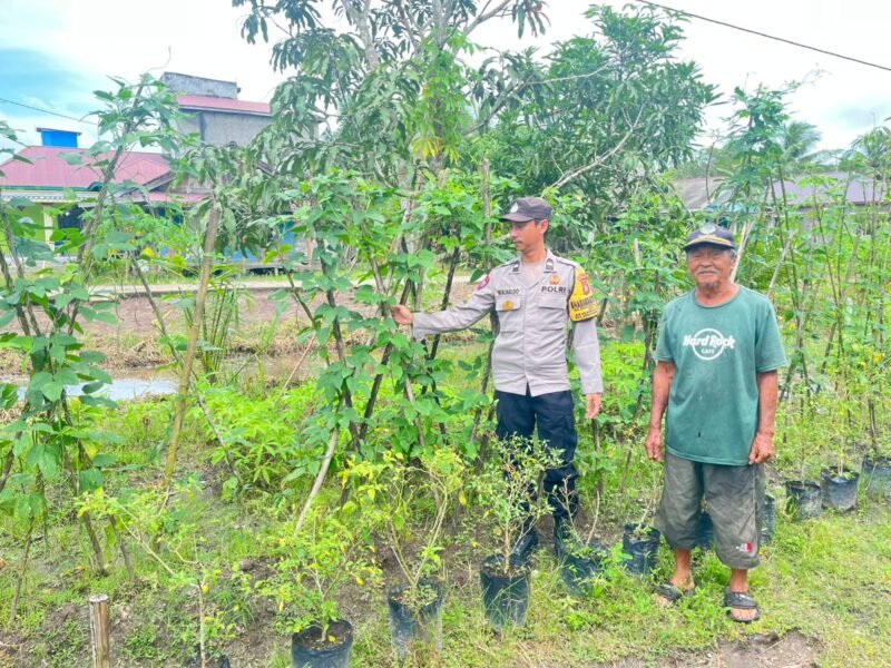 Giat dukungan terhadap program pemerintah Pusat tentang Ketahanan Pangan