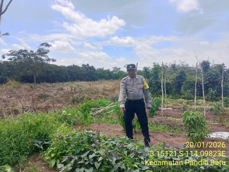 Bhabinkamtibmas Desa Dandang Sambangi Masyarakat Desa Binaan sekaligus Sisipkan Pesan Kamtibmas terkait pemanpaatan perkarangan Untuk Menanam Tanaman Pangan Bergizi