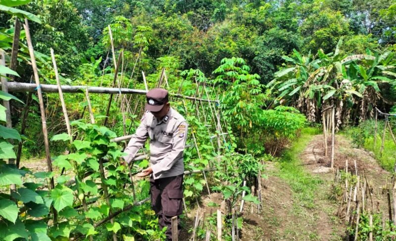 Sampaikan Pesan Kamtibmas Oleh personil Polsek Maliku Kepada Warga