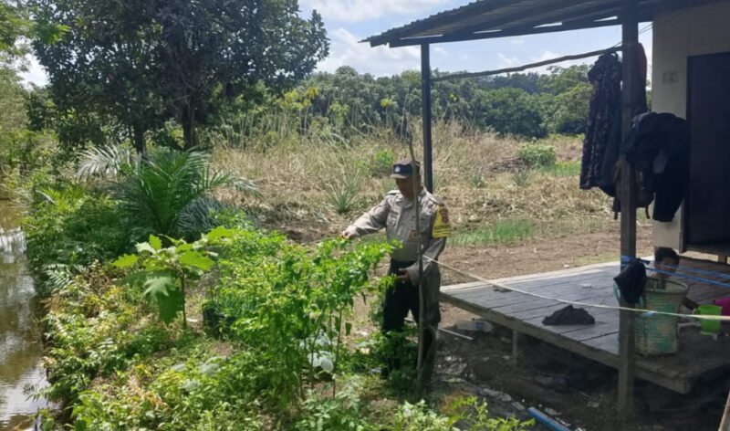 Wujudkan Ketahanan Pangan, Bripka Slamet Ajak Warga Desa Dandang Sulap Pekarangan Jadi Sumber Gizi
