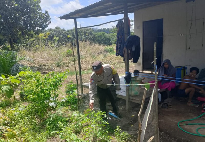 Inspiratif! Bhabinkamtibmas Desa Dandang Dorong Warga Manfaatkan Halaman Rumah untuk Tanaman Pangan