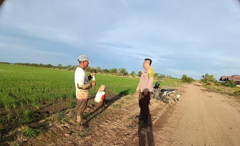 Bhabinkamtibmas Food Estate Melaksanakan Cek Sawah untuk Pengawasan Keamanan dan Ketahanan Pangan