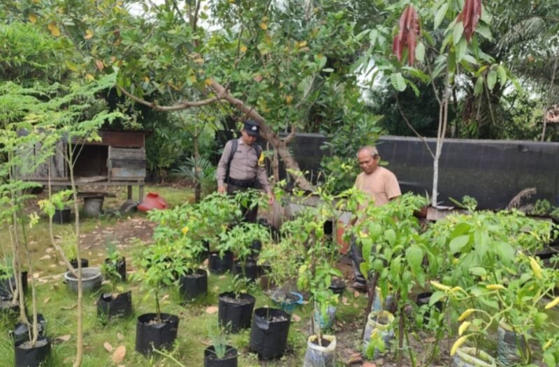 Dukung Kemandirian Pangan, Polsek Jabiren Raya Cek Langsung Pekarangan Bergizi