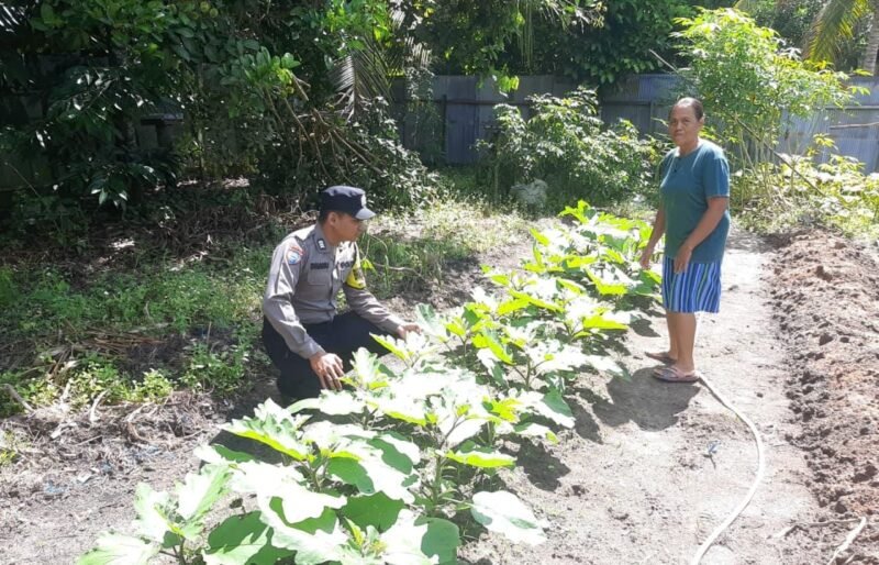 SATBINMAS SAMBANG PETANI SAMPAIKAN PESAN-PESAN KAMTIBMAS