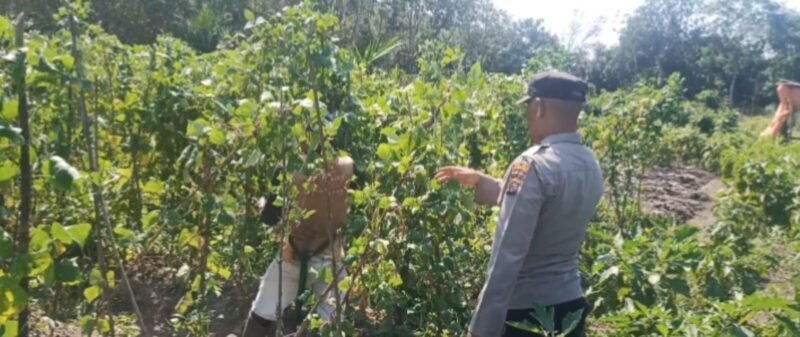 Personel Polsek Maliku Sosialisasi Kepada Masyarakat Kecamatan Maliku