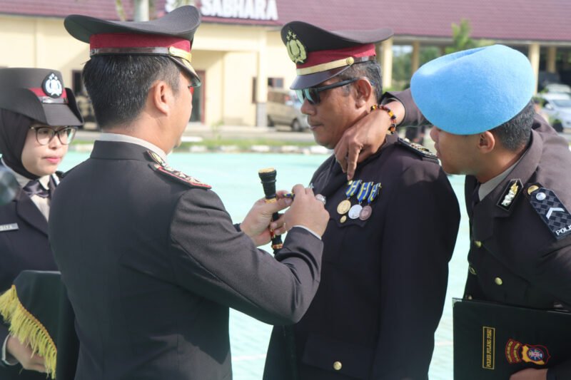 Dedikasi Tanpa Batas, Personel Polres Pulang Pisau Terima Satya Lencana Pengabdian