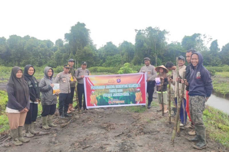 Dukung Asta Cita Presiden, Polsek Jabiren Raya dan Warga Tanam Jagung di Lahan 1,54 Hektare