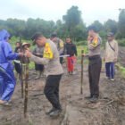 Langkah Nyata Tekan Impor, Polsek Jabiren Raya Sulap Lahan Desa Sakakajang Jadi Lumbung Jagung