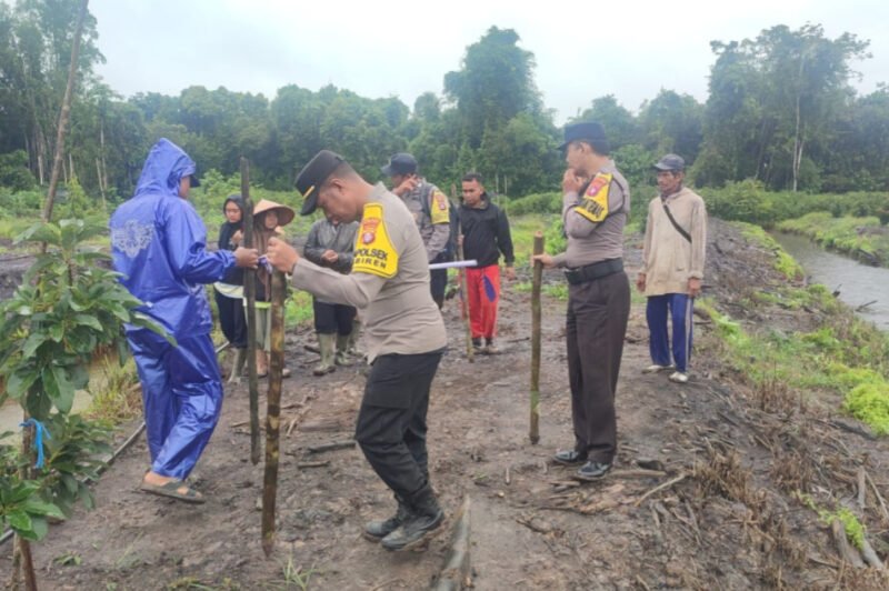 Langkah Nyata Tekan Impor, Polsek Jabiren Raya Sulap Lahan Desa Sakakajang Jadi Lumbung Jagung