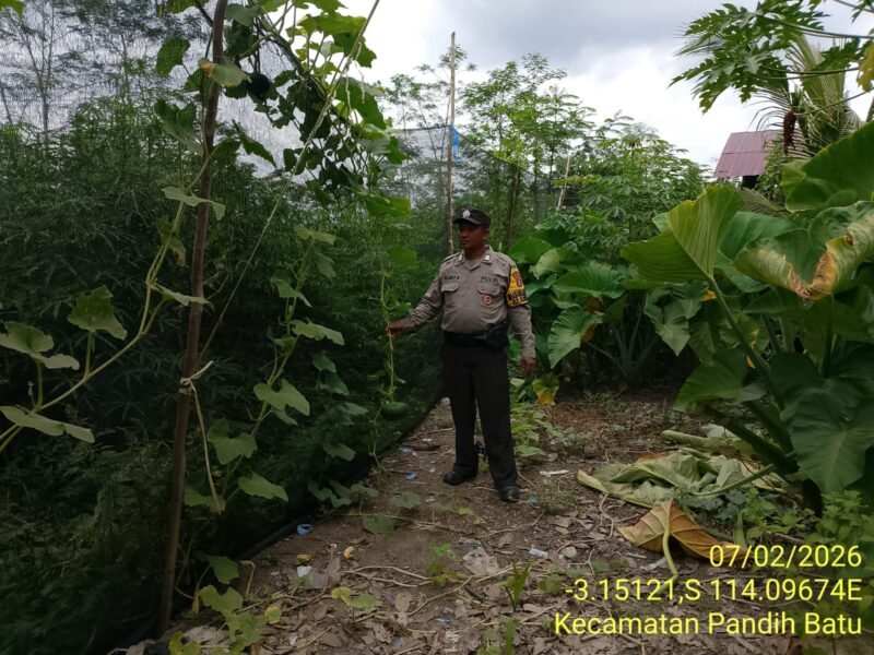 Bhabinkamtibmas Desa Dandang Sambangi Masyarakat Desa Binaan sekaligus Sisipkan Pesan Kamtibmas terkait pemanpaatan perkarangan Untuk Menanam Tanaman Pangan Bergizi