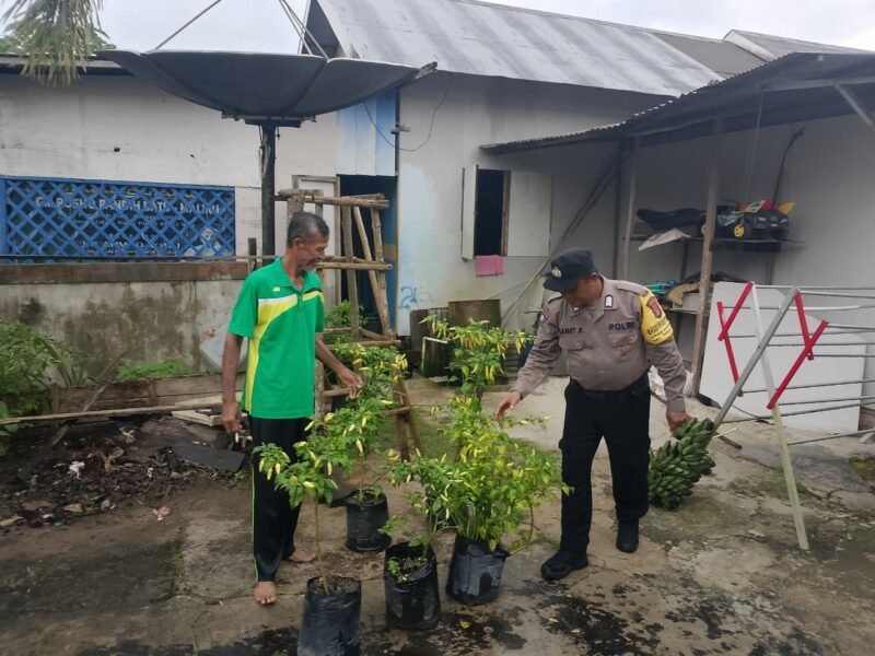 Bhabinkamtibmas Desa Dandang Sambangi Masyarakat Desa Binaan sekaligus Sisipkan Pesan Kamtibmas terkait pemanpaatan perkarangan Untuk Menanam Tanaman Pangan Bergizi