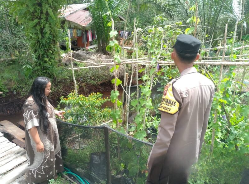 Mendukung program pemerintah tentang Ketahanan Pangan Bhabinkamtibmas imbau masyarakat untuk bertani jenis tanaman pangan