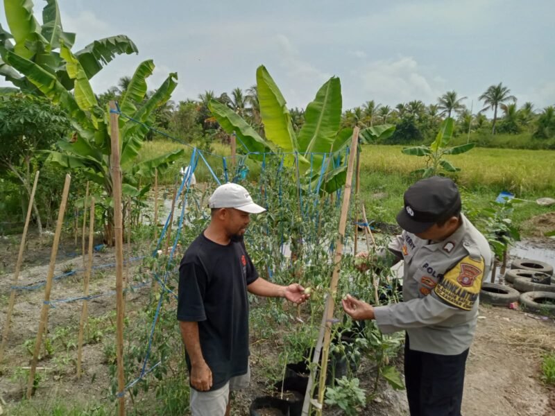 SATBINMAS SAMBANG PETANI SAMPAIKAN PESAN-PESAN KAMTIBMAS