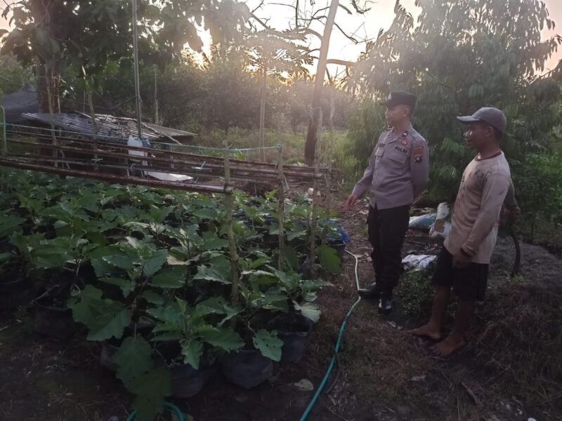 Bhabinkamtibmas Desa Dandang Sambangi Masyarakat Desa Binaan sekaligus Sisipkan Pesan Kamtibmas terkait pemanpaatan perkarangan Untuk Menanam Tanaman Pangan Bergizi
