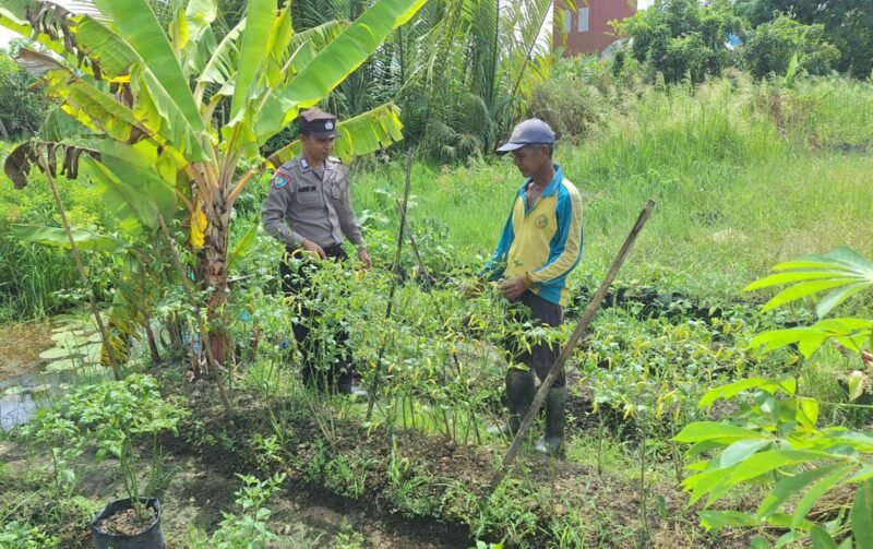 Giat dukungan terhadap program pemerintah Pusat tentang Ketahanan Pangan