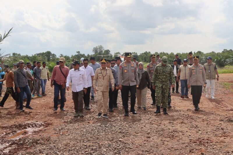 Tanam Jagung di Sela Sawit: Strategi Cerdas Polda Kalteng Perkuat Swasembada Pangan 2026 melalui Sinergi Dunia Usaha