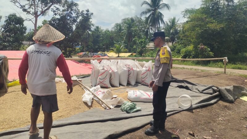 Bhabinkamtibmas Food Estate Melaksanakan Cek Sawah untuk Pengawasan Keamanan dan Ketahanan Pangan