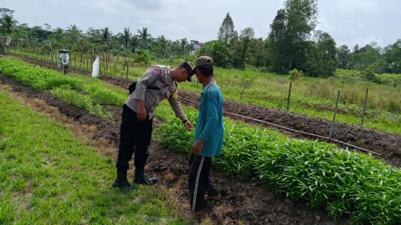 SATBINMAS SAMBANG PETANI SAMPAIKAN PESAN-PESAN KAMTIBMAS