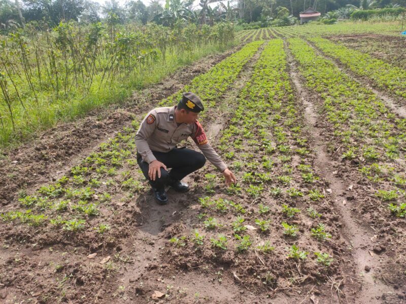 Sambang ke Masyarakat, Personel Polsek Maliku Lakukan Sosialisasi dan Imbauan