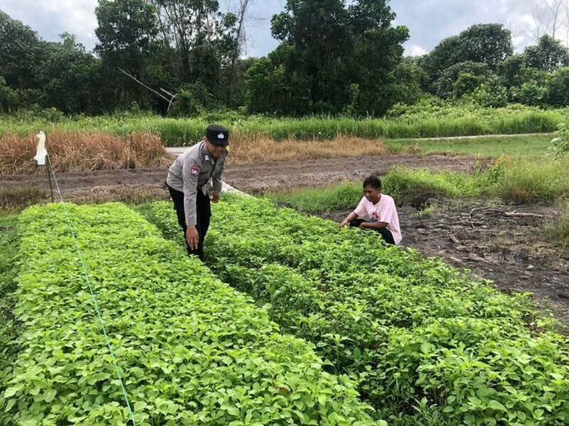 Sampaikan Pesan Kamtibmas Oleh personil Polsek Maliku Kepada Warga