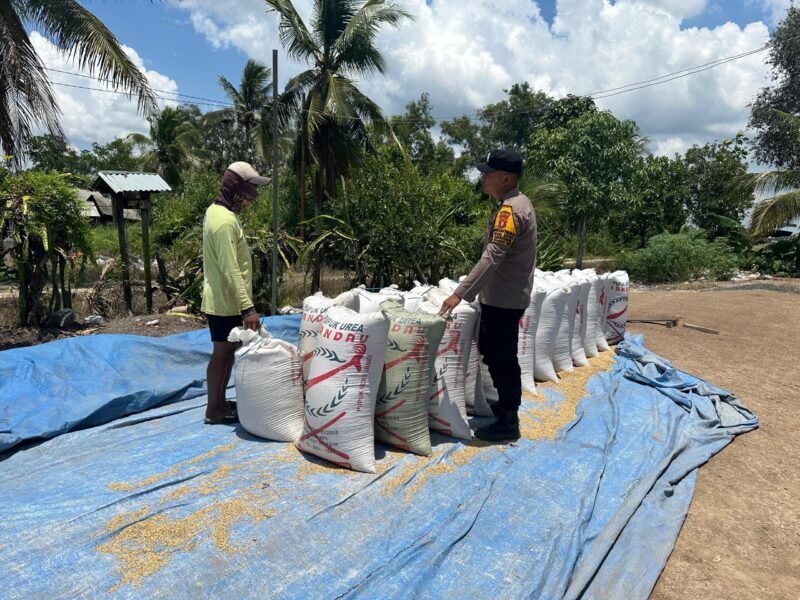 Bhabinkamtibmas Food Estate Melaksanakan Cek Sawah untuk Pengawasan Keamanan dan Ketahanan Pangan
