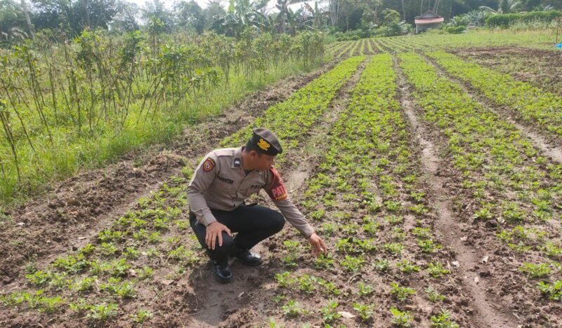 Perkuat Kemitraan dengan Warga, Polsek Maliku Gencarkan Sambang Kamtibmas untuk Cegah Gangguan Keamanan
