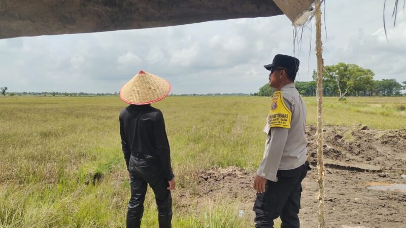 Bhabinkamtibmas Food Estate Melaksanakan Cek Sawah untuk Pengawasan Keamanan dan Ketahanan Pangan