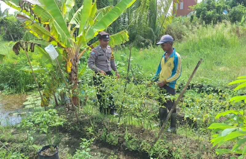 SATBINMAS SAMBANG PETANI SAMPAIKAN PESAN-PESAN KAMTIBMAS