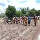 Dukung Asta Cita Presiden, Polsek Sebangau Kuala Gelar Penanaman Jagung Serentak di Desa Sebangau Mulya