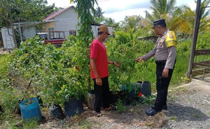 Dukung Program Makan Bergizi Gratis, Polsek Kahayan Kuala Ajak Warga Sulap Pekarangan Jadi Lahan Produktif
