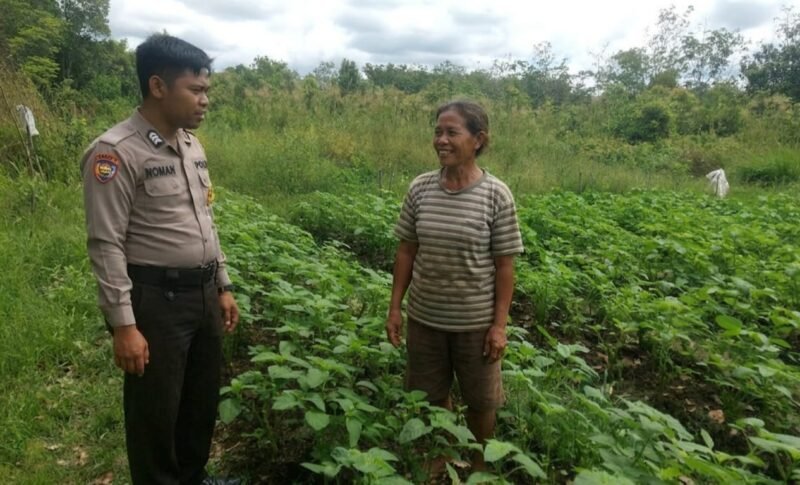 Dukung Ketahanan Pangan, Bhabinkamtibmas Polsek Kahayan Hilir Ajak Warga Sulap Pekarangan Jadi Lahan Produktif