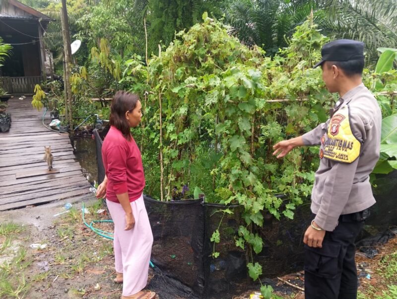 Dukung Ketahanan Pangan, Polsek Sebangau Kuala Petakan Kendala Petani di Lapangan