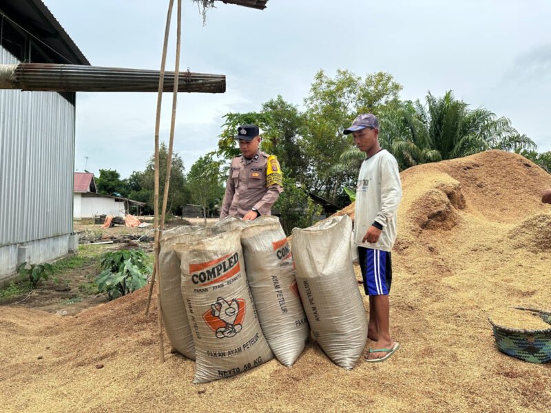 Dukung Ketahanan Pangan, Bhabinkamtibmas Food Estate Sambangi Petani Belanti Siam