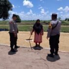 Dukung Ketahanan Pangan, Bhabinkamtibmas Food Estate Gadabung Sambangi Petani Jemur Padi