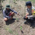 Polsek Jabiren Raya Dorong Kemandirian Pangan Melalui Program Pekarangan Bergizi di Desa Sakakajang