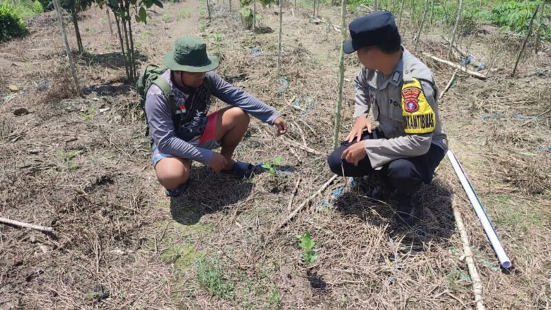 Polsek Jabiren Raya Dorong Kemandirian Pangan Melalui Program Pekarangan Bergizi di Desa Sakakajang