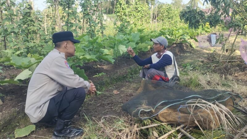 Polsek Pandih Batu Gerakkan Masyarakat Manfaatkan Pekarangan demi Ketahanan Pangan