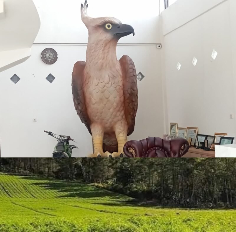 Foto: Elang Jawa Identik Desa Bulukerto, yang patut dijaga . Saat ini jadi maskot di Kantor Baldes Bulukerto Kota Batu.