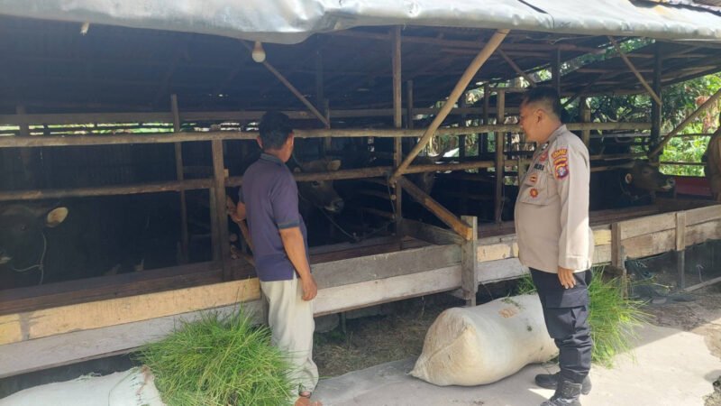 Dukung Ketahanan Pangan, Polsek Kahayan Hilir Sambangi Peternak di Desa Mantaren II