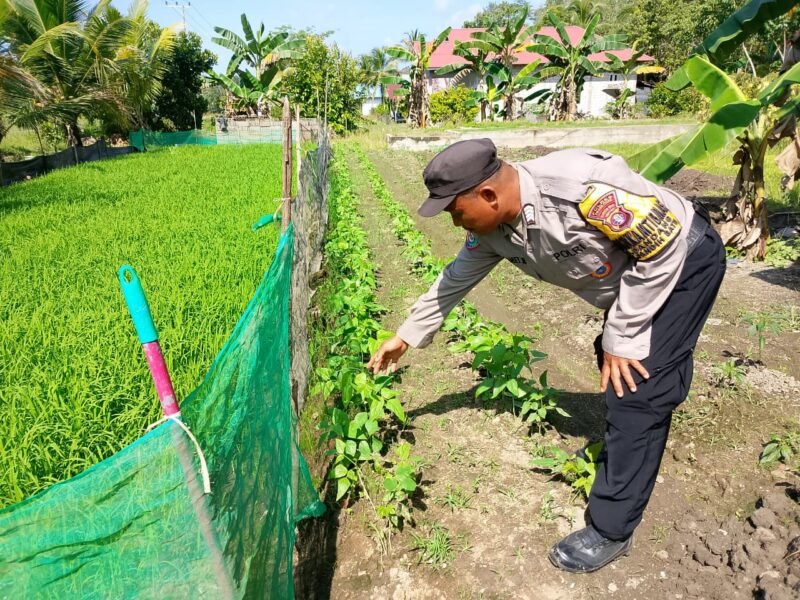 Dukung Program Makan Bergizi, Bhabinkamtibmas Pandih Batu Ajak Warga Manfaatkan Pekarangan